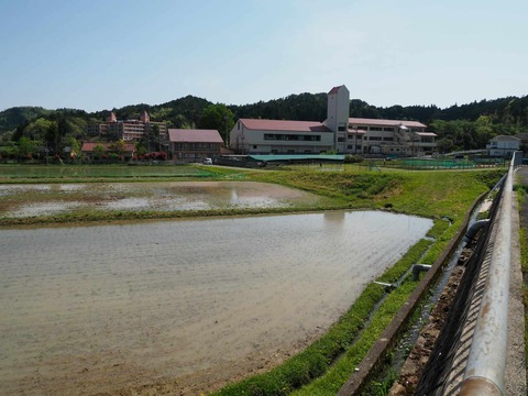20250503田植え樫田 (3)