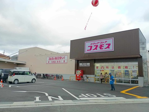 20260228コスモス (2)