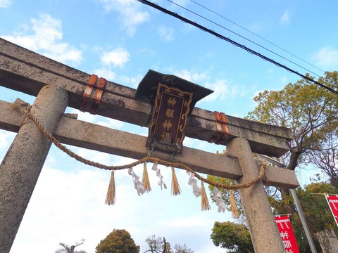 20240407神服神社 (1)