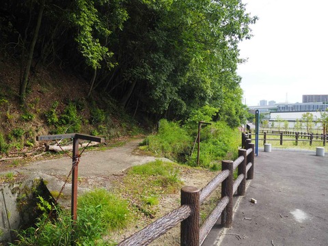 20230528金龍寺川公園 (10)