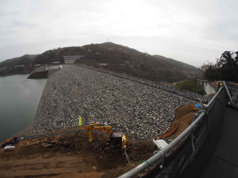 20230325安威川ダム (23)