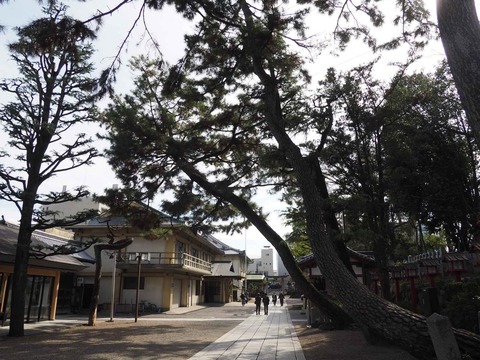 20240224茨木神社 (9)