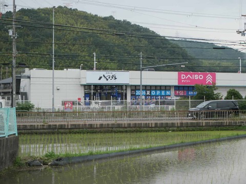 20260608八百鮮 (4)