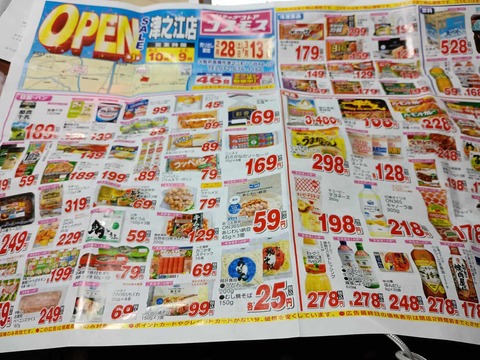 20260228コスモス (4)