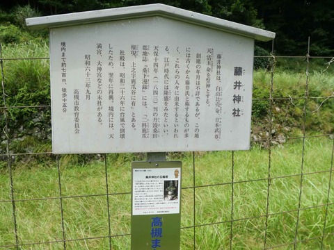 20240727樫田 (57)