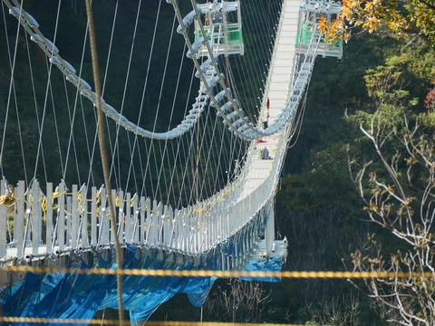 20241201吊り橋 (5)