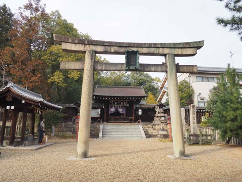 20230211離宮八幡宮 (12)