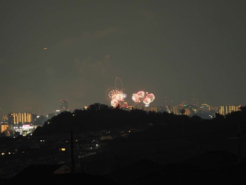 20220827なにわ淀川花火 (30)