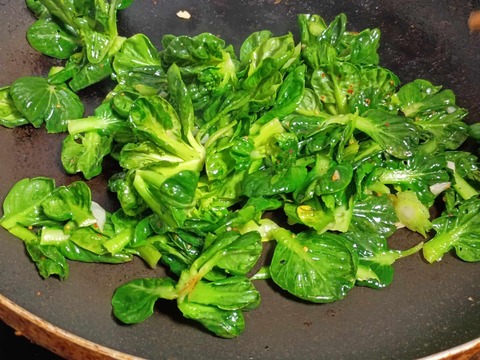 20260220タアサイ (6)