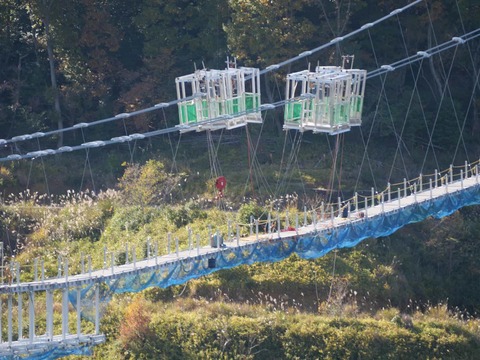 20241201吊り橋 (10)