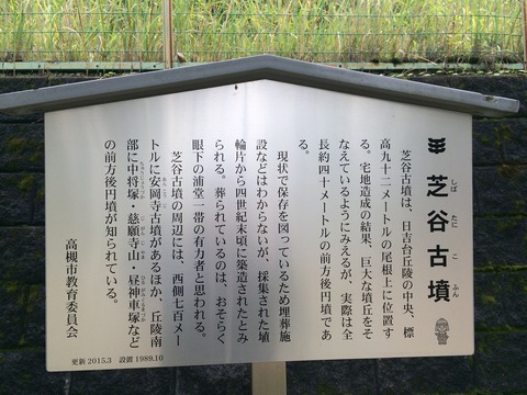 shibatani2
