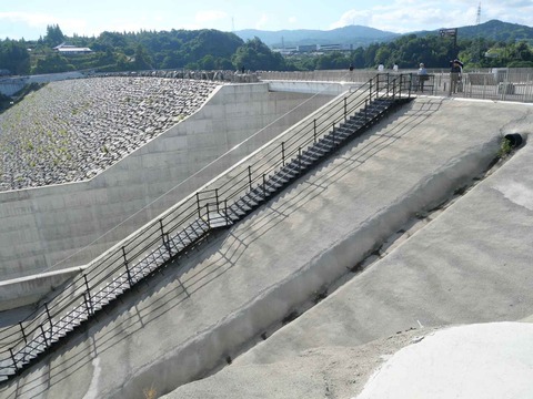 20240817安威川ダム階段 (5)