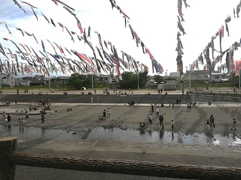 20240427こいのぼり (6)