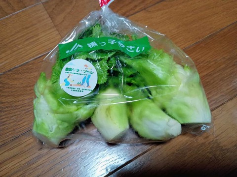 20240211たかな (2)