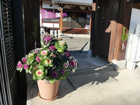 20250101畑山神社 (19)