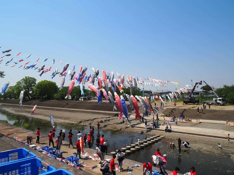 20250426こいのぼり (10)