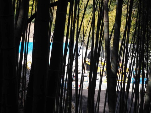 20230401梶原トンネル東坑口 (7)