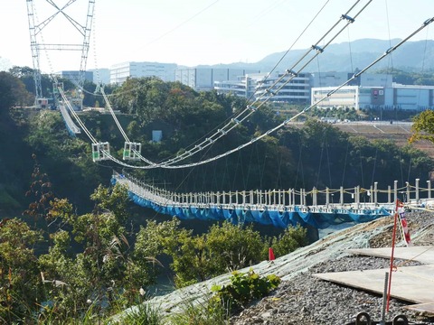 20241113吊り橋 (24)