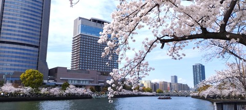 20240410大阪造幣局ほか (6)