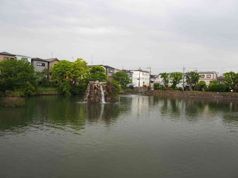 20210430simizuike (2)