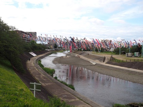 20240422こいのぼり (3)