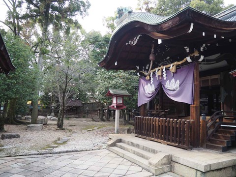 20230211離宮八幡宮 (4)