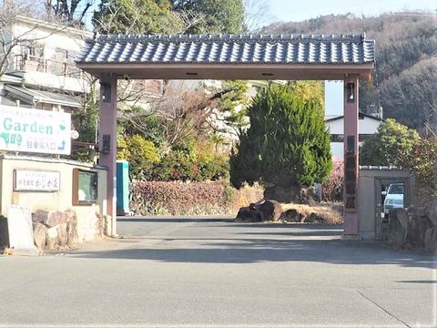 20230307藤島部屋 (4)