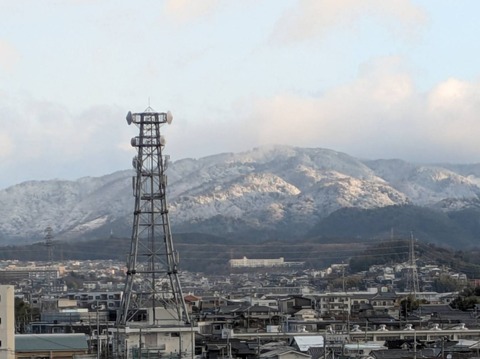 20250307ポンポン山 (1)