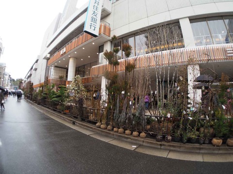 20240225天神まつり (16)