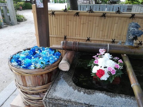 20220508野見神社 (5)