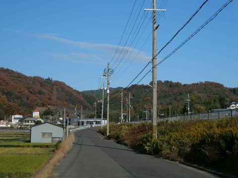 20241210摂津峡紅葉 (3)