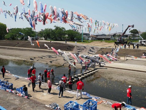 20250426こいのぼり (12)