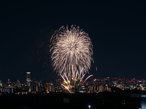 20240808辨天花火 (41)