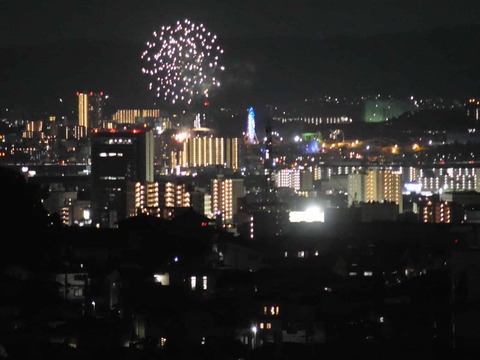 20260517五六花火 (20)