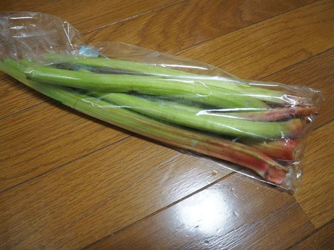 20230624ルバーブ (3)