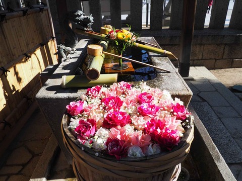 20231210野見神社 (5)