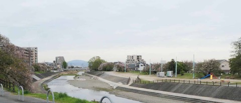 20260413桜 (4)