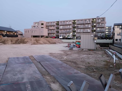 20250519津之江コスモス (3)