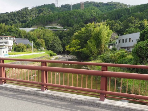 20220917安威川ダム (14)