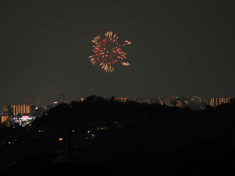 20220827なにわ淀川花火 (142)