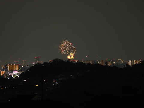20220827なにわ淀川花火 (121)