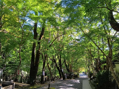 20251029神峯山寺 (14)