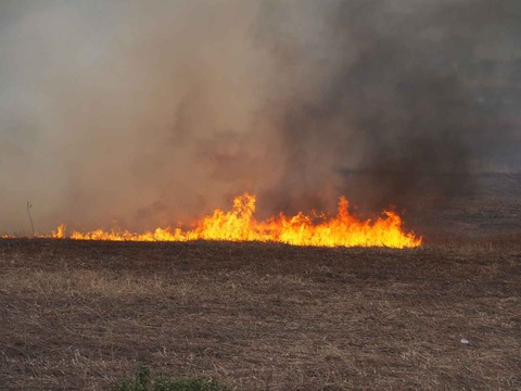 20220213ヨシ焼き (22)