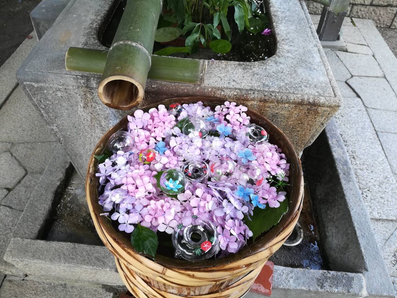 野見神社の花手水 21年6月30日 高槻network新聞 野見神社の花手水 21年6月30日 高槻network新聞