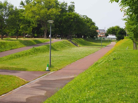 20230528今城 (2)