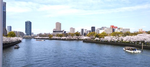 20240410大阪造幣局ほか (4)