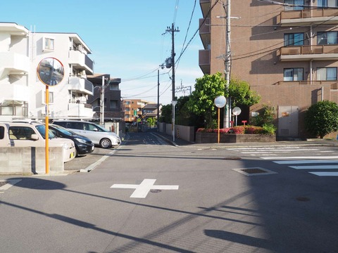 20240601富田道しるべ (7)