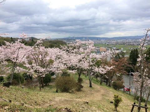 settukyo_park3