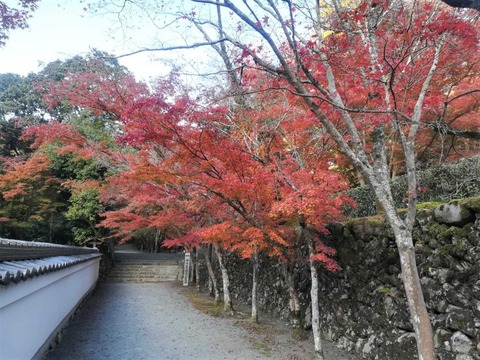 20211117神峯山寺 (7)