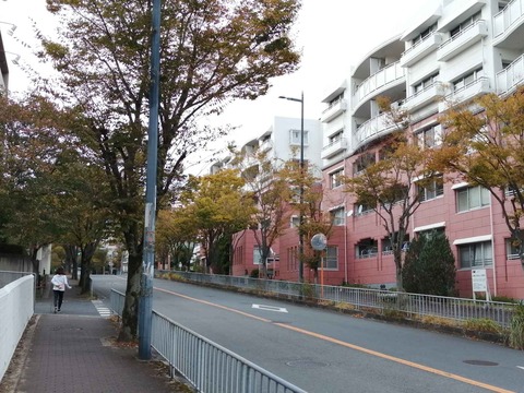 202110紅葉 (7)